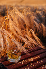 glass of whiskey with ice in a wheat field