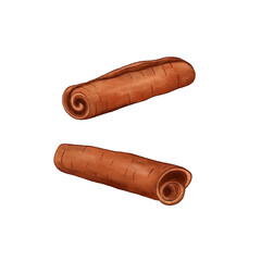 Cinnamon stick. Illustration on a white background. Watercolor style.