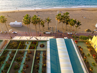 beach with palm trees
