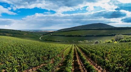 Fototapeta na wymiar Tokaj wine region in Hungary aerial landscape panorama. Ordogarok.