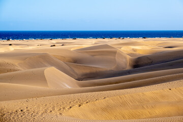 sand dunes in the desert and ocean