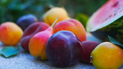 Various fruits and a slice of watermelon