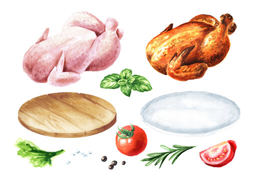 Raw and grilled broiler chicken set. Hand  drawn watercolor illustration, isolated on white background