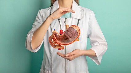 Female doctor with a stethoscope is holding mock stomach in the hands. Help and care concept - obrazy, fototapety, plakaty