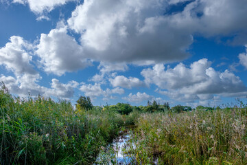 The Weerribben-Wieden National Park