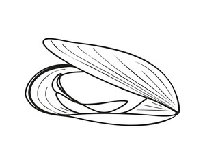 Mussels in shell doodle style. A vector illustration drawn by hand.
