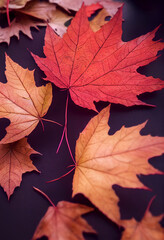 Naklejka na ściany i meble maple leaf symbolic of autumn 3d illustration