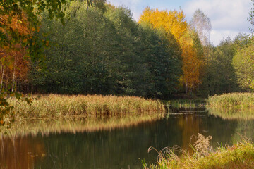autumn landscape with river in sunlight