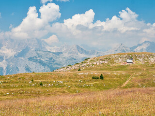 Fototapeta na wymiar Summer meadow at Gazza mountain, blue sky and high peaks.