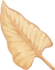 watercolor leaf minimal floral