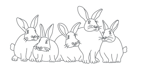 Five Rabbits are sitting together.