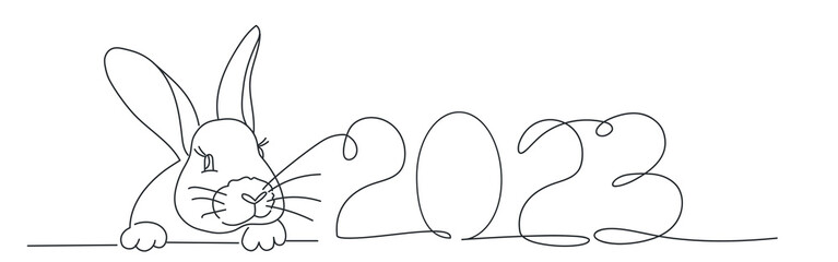 Year of the rabbit.