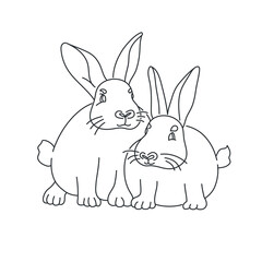 Two Rabbits are sitting together.