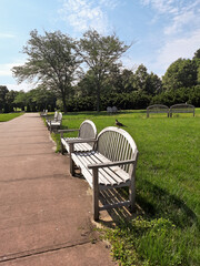 Bright morning sun illuminates beautiful garden with large meadow and walking path.