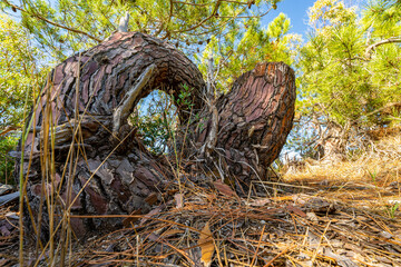 Kalamaki Beach Zakynthos