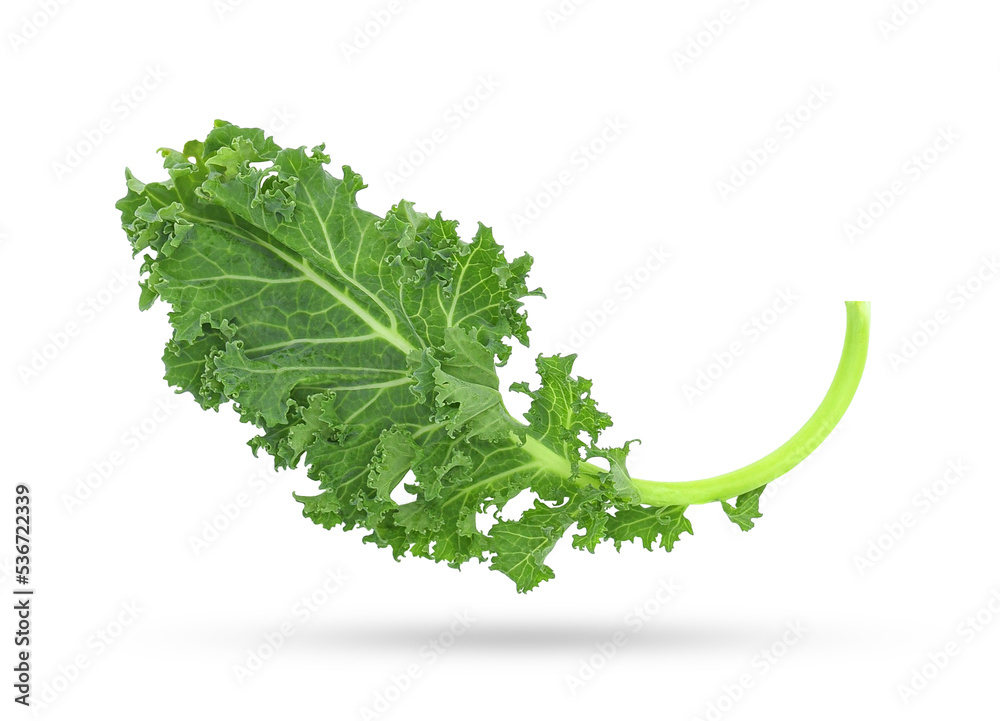 Wall mural fresh organic green kale leaf falling in the air isolated on white background.