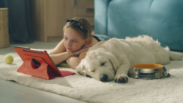 Young girl watching films and hugging pillow, dog sleeping and watching dreams on mild carpet, spending leisure time at home together. Golden retriever.