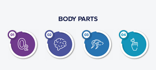infographic element template with body parts outline icons such as oxygen, brain body organ, sperms, hand finger with a ribbon vector.