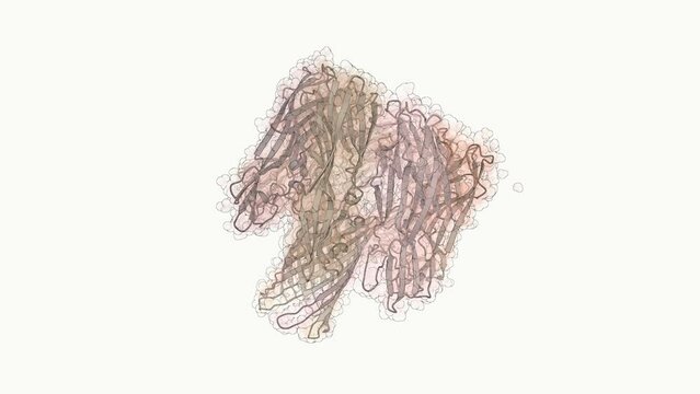 3D structure of a DNA sequencing nanopore protein - alpha-hemolysin from Staphylococcus aureus. This protein is part of a a third generation sequencing setup.