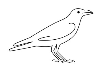Black Raven line drawing. Crow bird symbol in simple linear style. 