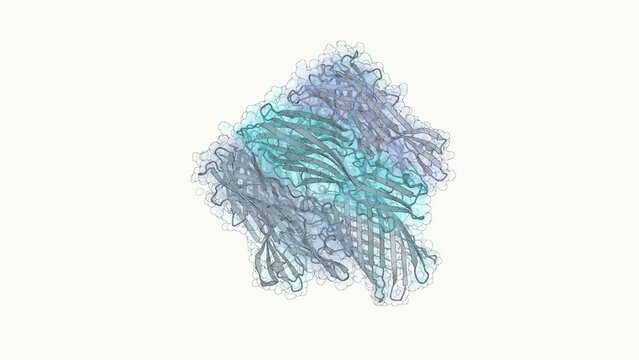 3D structure of a DNA sequencing nanopore protein - alpha-hemolysin from Staphylococcus aureus. This protein is part of a a third generation sequencing setup.