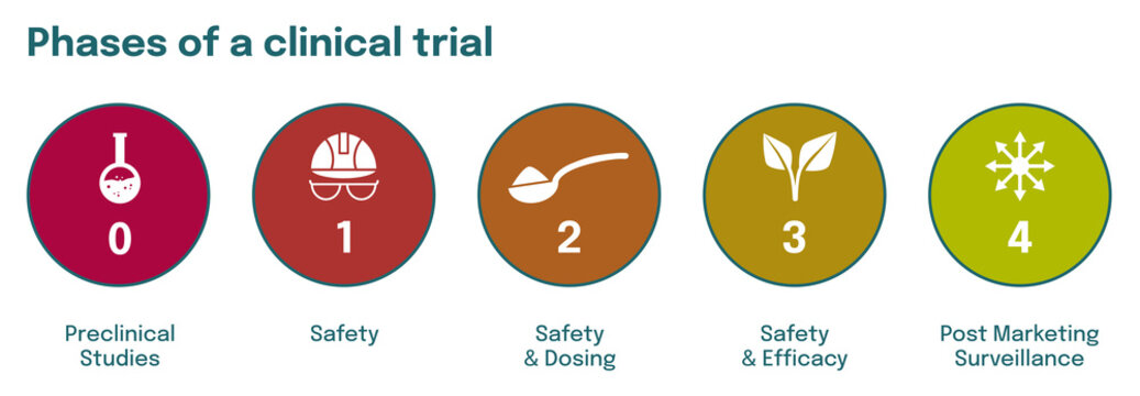 4 Phases of clinical trial illustration step by step