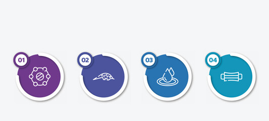 infographic element template with outline icons such as isolation, pangolin, waterdrop, hygiene mask vector.