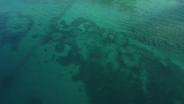 seabed, about 2 meters deep, partly sandy, recorded by drone at low altitude. Adriatic Sea, Mediterranean