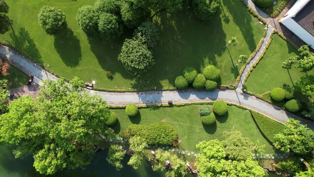aerial view of beautiful meadow