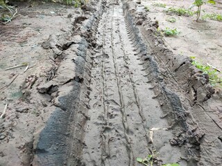road in the forest