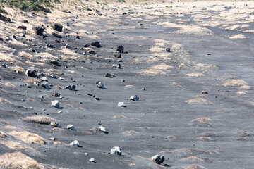 伊豆大島の裏砂漠トレイル