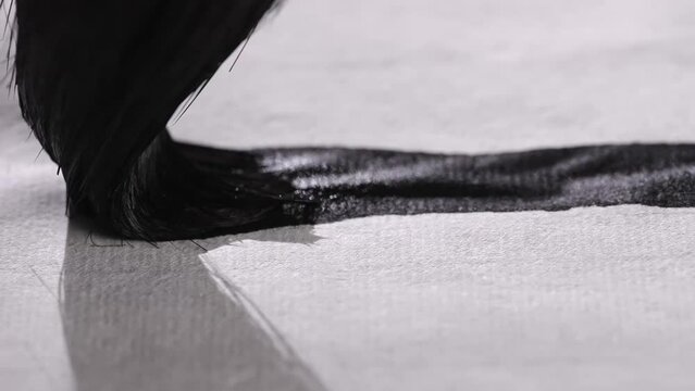 Chinese culture calligraphy 