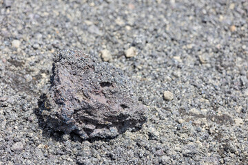 伊豆大島の裏砂漠トレイル