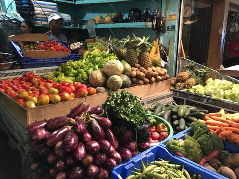 Aliments en R&eacute;publique Dominicaine - Fruits et l&eacute;gumes divers du pays (Vinagrillo, Mamon, Cassis, Jobo, pomme d'or)