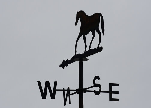 Wind vane wind horse with grey sky. High quality photo