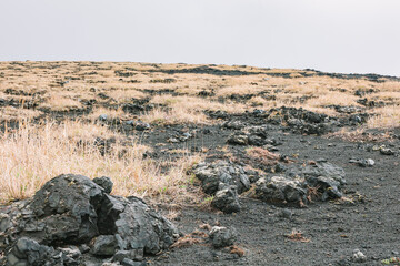 伊豆大島の三原山風景