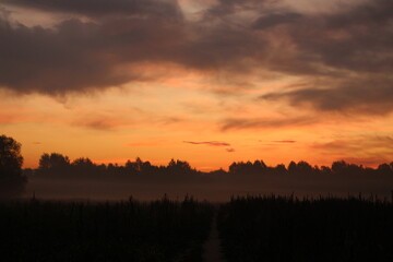 Fototapeta na wymiar Piękny jesienny wschód słońca we mgle .