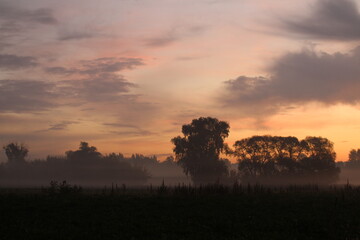 Naklejka premium Piękny jesienny wschód słońca we mgle .