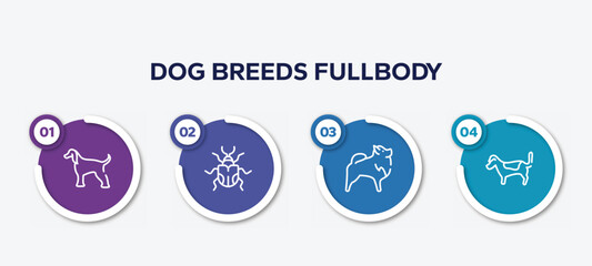 infographic element template with dog breeds fullbody outline icons such as afghan hound, null, pomeranian, jack russell terrier vector.