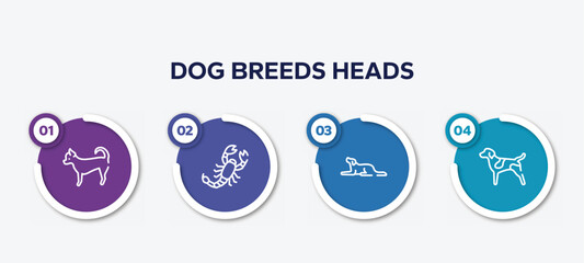 infographic element template with dog breeds heads outline icons such as chihuahua, scorpio, border collie, german shorthaired pointer vector.