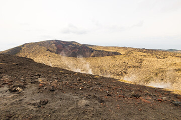 伊豆大島の三原山風景