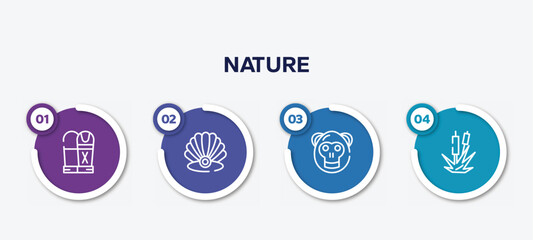 infographic element template with nature outline icons such as sarcophagus, pearl, orangutan, bulrush vector.