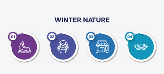 infographic element template with winter nature outline icons such as ice skate, walrus, gift shop, safety glasses vector.