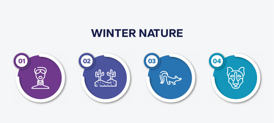 infographic element template with winter nature outline icons such as african, desert, skunk, siberian husky vector.