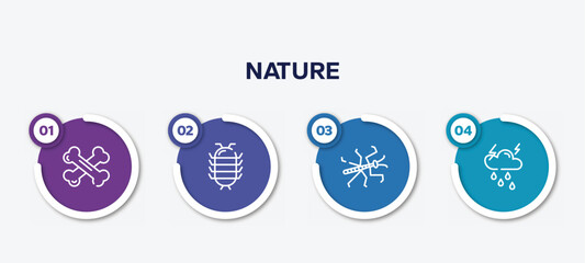 infographic element template with nature outline icons such as bones, cochineal, mantis, thunderstorm vector.