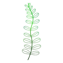 Green fern leaf in doodle style. Vector