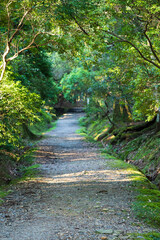 奈良の古道の風景