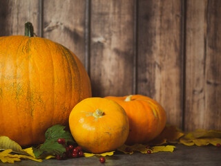autumn halloween pumpkins on wooden background