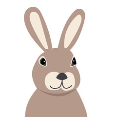 rabbit, hare portrait on white background, isolated