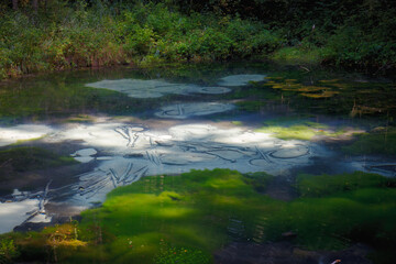 Saula cold pure fresh water blue spring, Estonia, Europe. Beautiful natural wonder in the woods by the hiking trail. Believed to be ancient offering site. Natural wonder. Siniallikad.